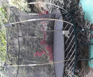 Trampoline 2.5 m diameter 2.2m high