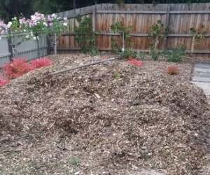 Mulch