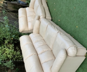 Comfy cream leather couches