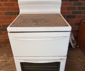 Electric oven