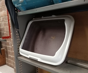 Kitty litter box