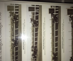 Pharlap print - memorabilia