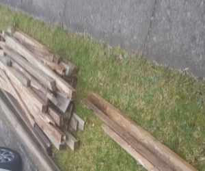 Assorted lengths of pine and some hardwood. Some in reasonable condition, some have rotted on