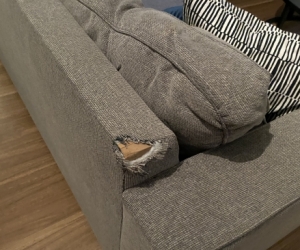 L shaped Couch