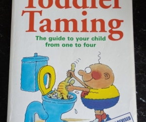 Toddler Taming Book