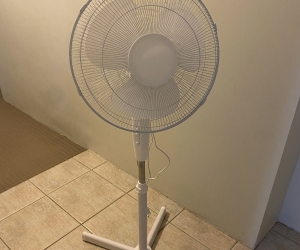 Pedestal fan