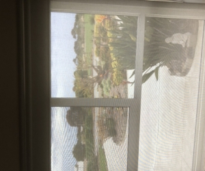 Privacy Blinds