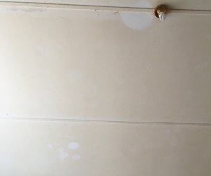 HOUSE PAINT NEEDED THANKS