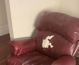 Comfy Family Recliner