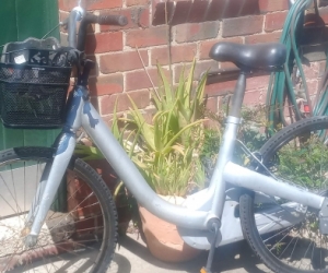 Ugly bike