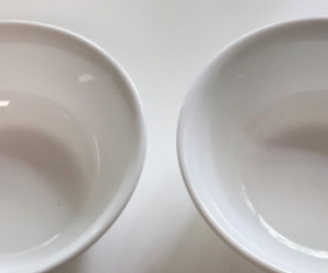 Two CORELLE bowls
