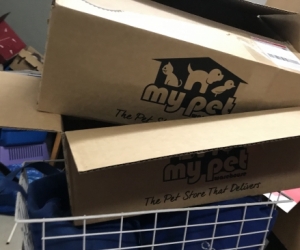 Free storage/moving boxes