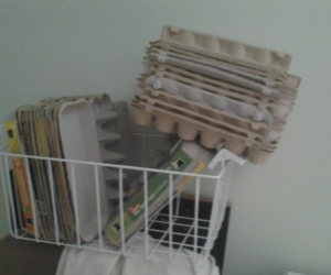 Empty Egg Cartons