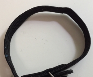 Cat collar with bell