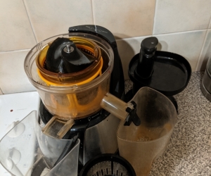 Slow juicer