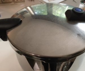 Fisler pressure cooker