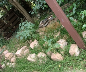 Interlocking bricks