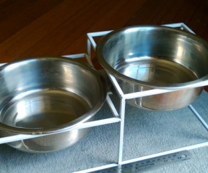 Dog / Pet bowls (metal) with stand