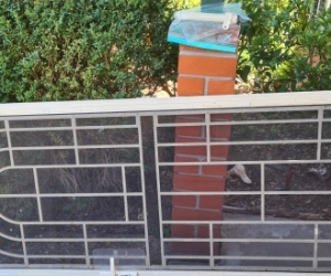 Flyscreen