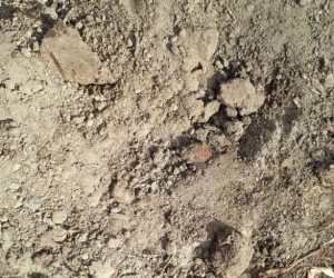 Premium Garden Soil - half a cubic metre