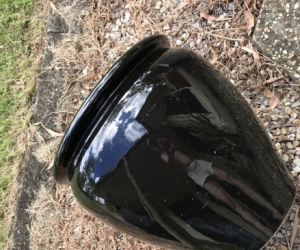 Black planter pot