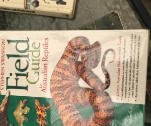 Field Guide to Australian reptiles by Steve Parish