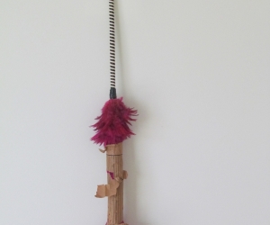 Feather Duster