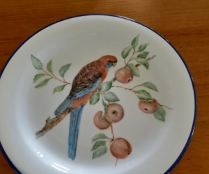 Hand Painted Rosella Dinner Plate