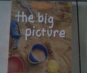 the big picture