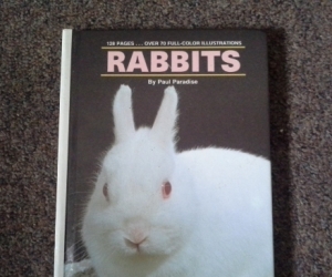 rabbit book