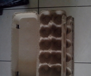egg cartons