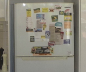 White Fridge Samsung