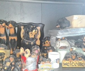 GARAGE SALE HUGE SHED 404 Mount Mellum Road, Mount Mellum 4550
