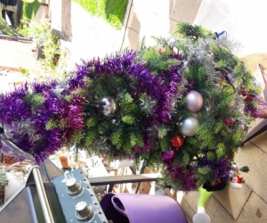 Christmas tree with lights