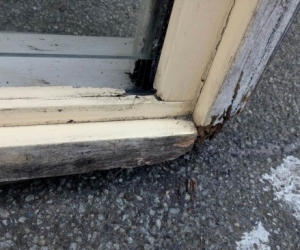 Timber frame shug window - 900 wide x 1800 high