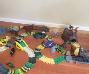 Car Track