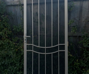 Wire door
