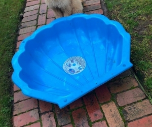 Kids Clam shell - paddle pool or sand pit