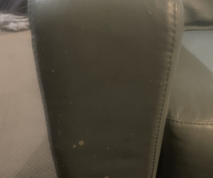 Blue Recliner