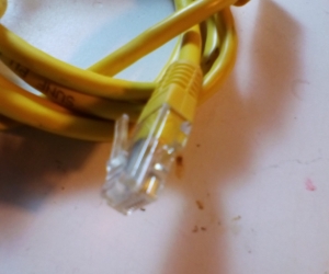 Ethernet cable