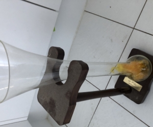 Yard Glass