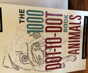 A3 Dot to Dot Book
