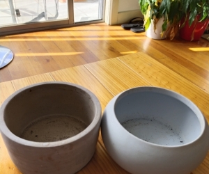 Plant pots - small