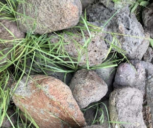 HONEYCOMB GARDEN ROCKS