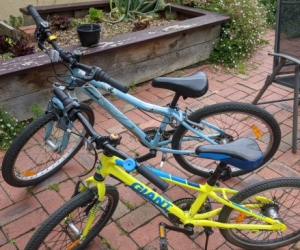 Two kids bikes