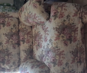 2 seater couch and 1 recliner chair