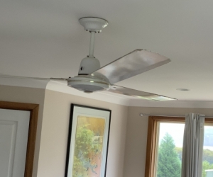 Ceiling fans