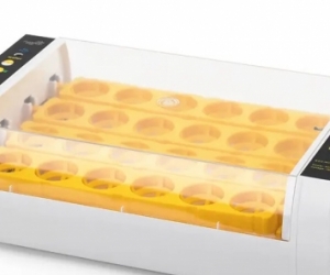 Egg Incubator (used)