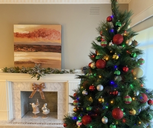 Australian Pine Christmas Tree For Free !