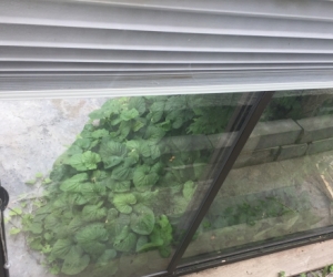Aluminium Window Frame
